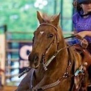 Meet your Posher, Janice